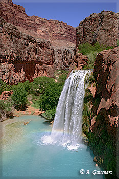 Havasu Fall beim Abstieg